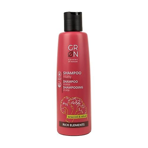 Rich Elements Revitalizing Shampoo 250 ml
