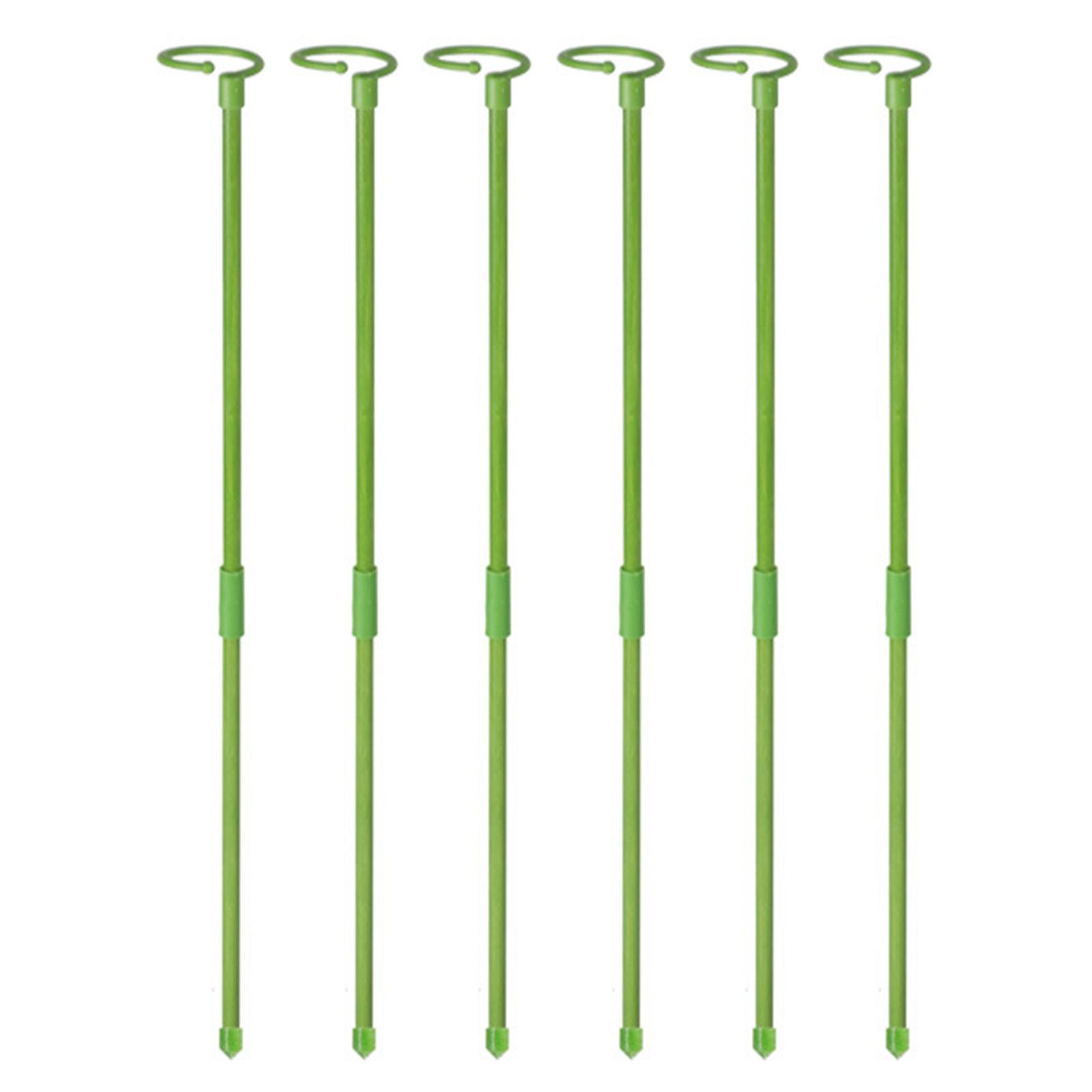 Spliced Butterfly And Orchid Support Wide Range Of Use For Climbing Plants For Household Accessories