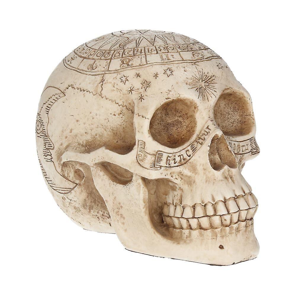 Astrological Skull With The Zodiac Circle  Home Decor Decals