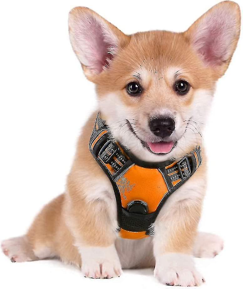 Dog Harness, No-pull Pet Harness With 2 Leash Clips, Adjustable Soft Padded Dog Vest, Reflective Out