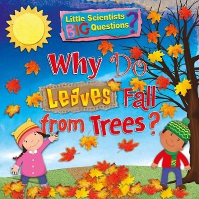 Why Do Leaves Fall From Trees by Ruth Owen Paperback Book