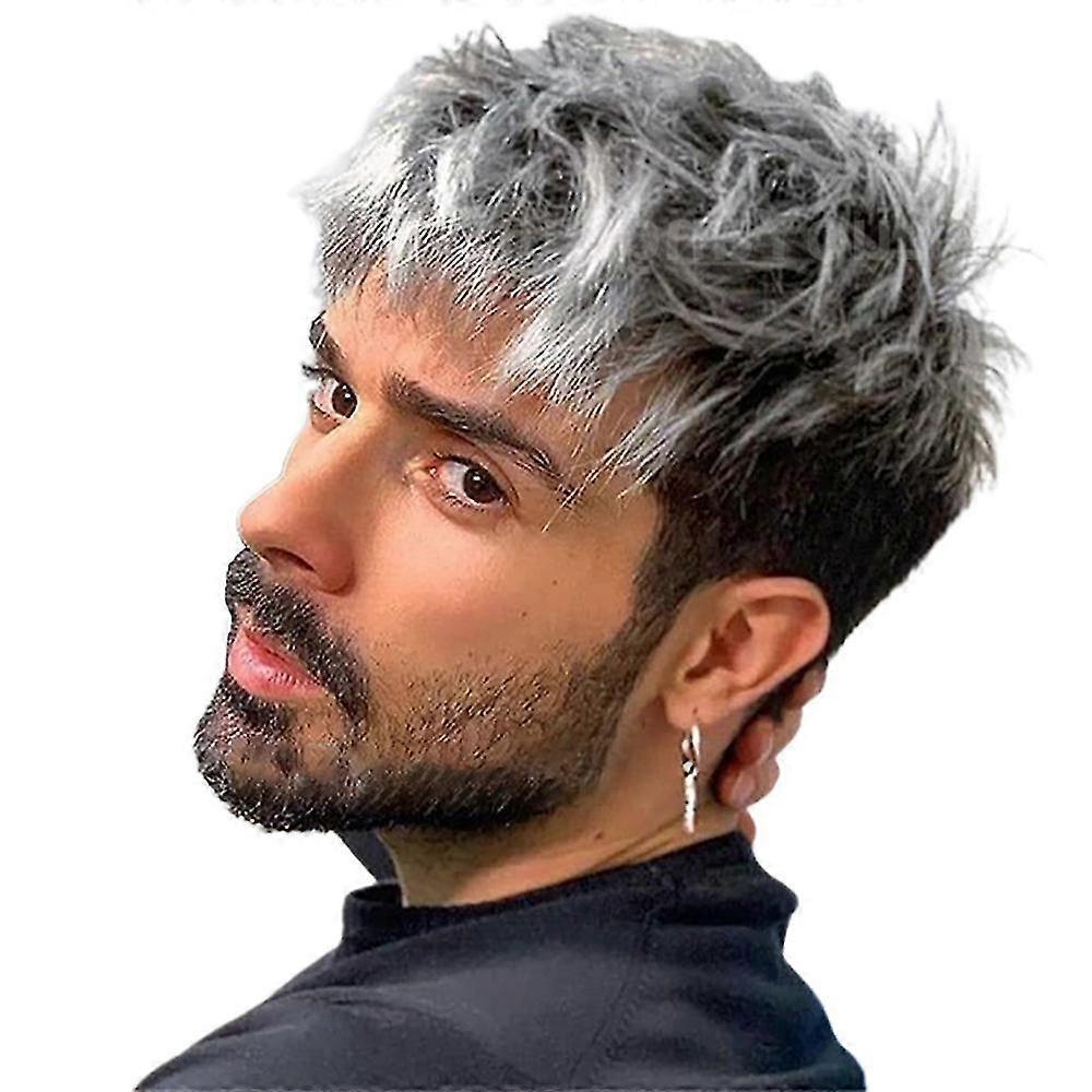 Men Ombre Silver Grey Full Wigs Short Straight Handsome Hair