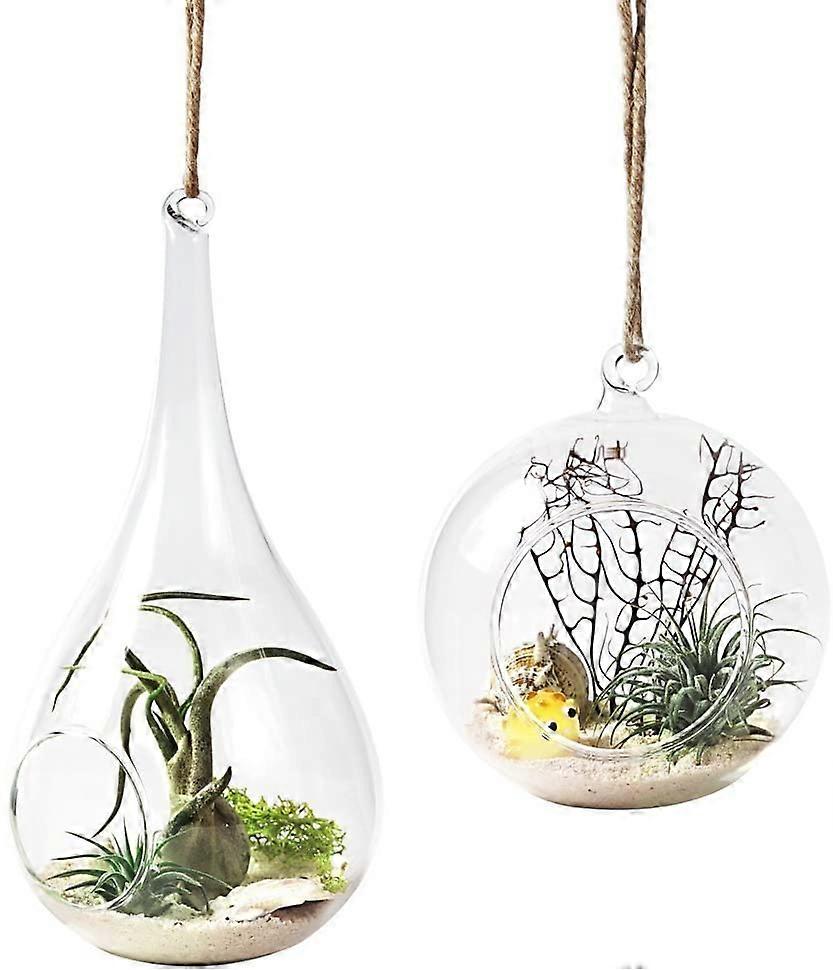Glazen hangplant Vaas Pack van 2