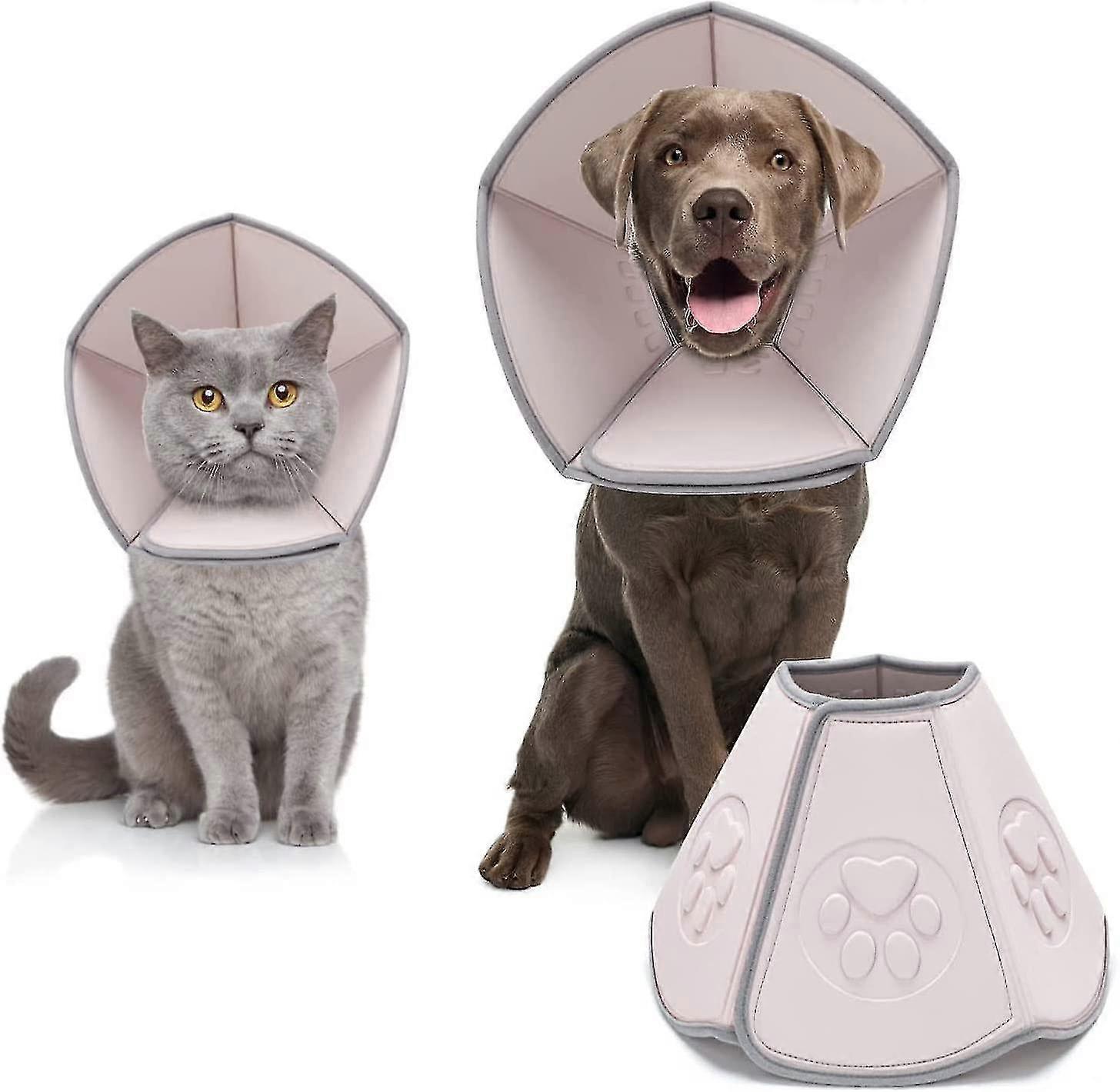 Dog Cone For Dogs After Surgery