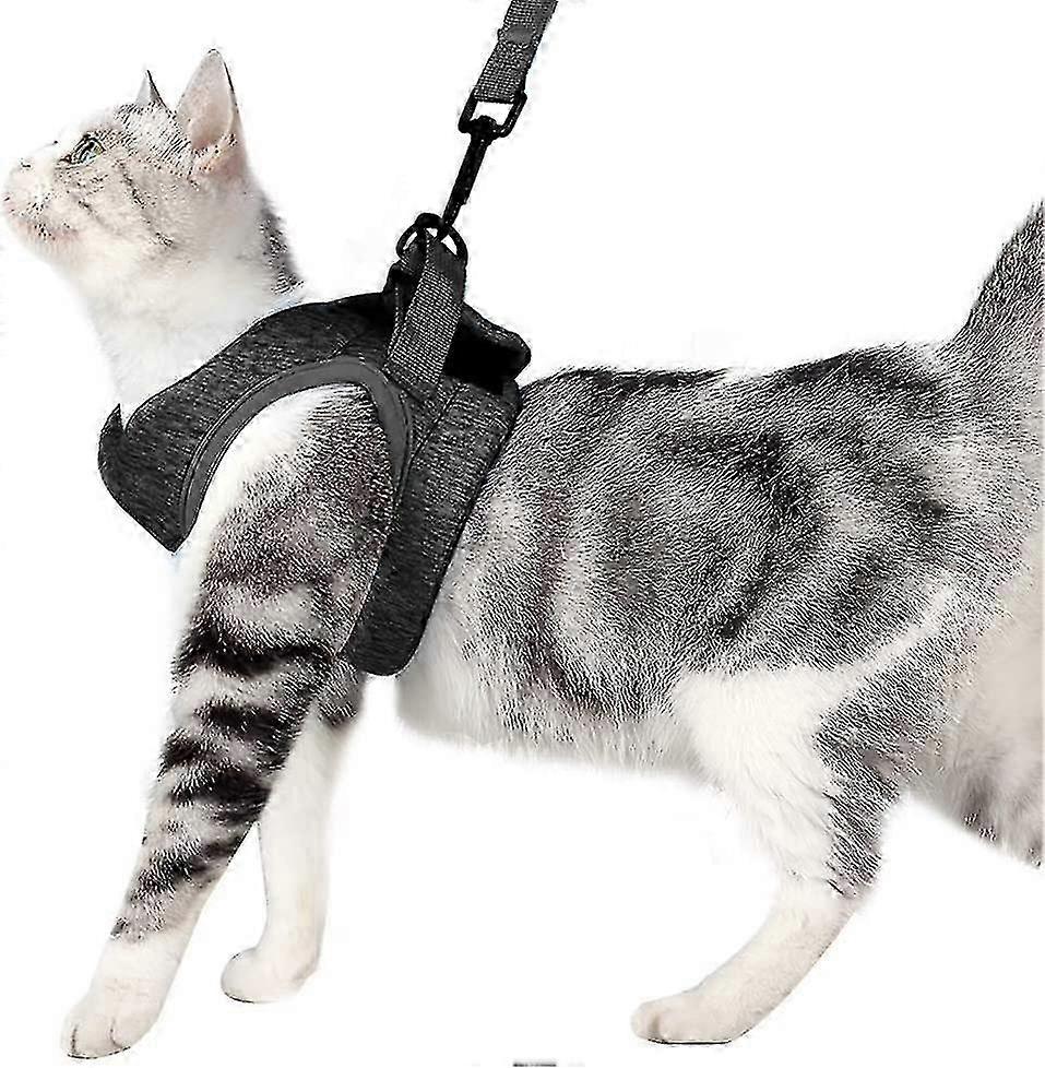 Sunrain Ultralight Katzengeschirr und Leine Weiches und bequemes Kätzchenhalsband Running Cat Walking Jack