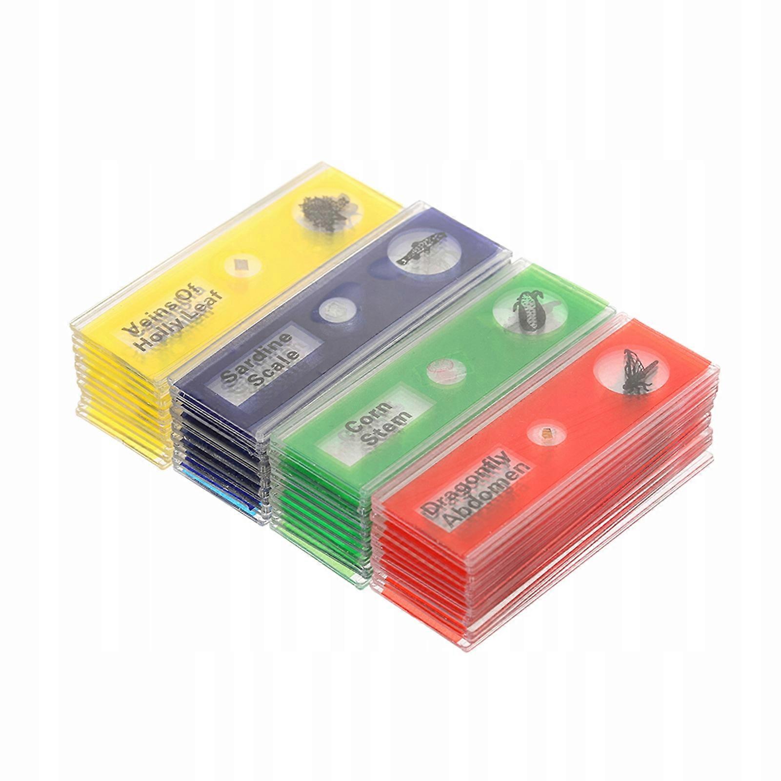 48pcs/set Plastic Prepared Microscope Slides