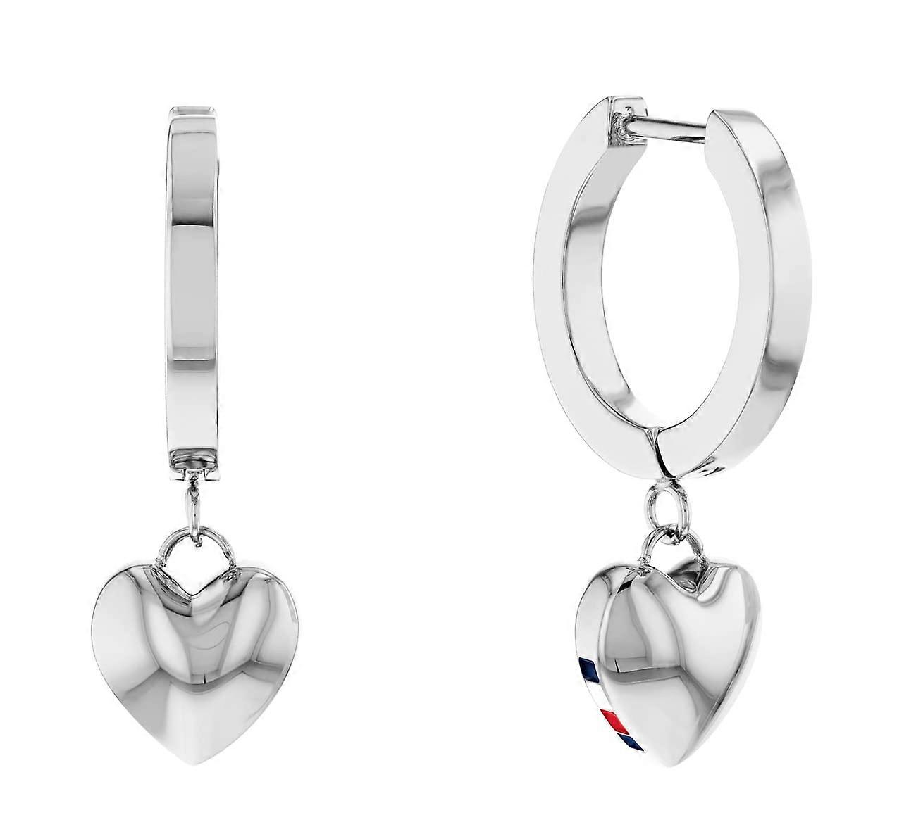 2780664 Stainless Steel Hinge Earrings For Women Color Silver