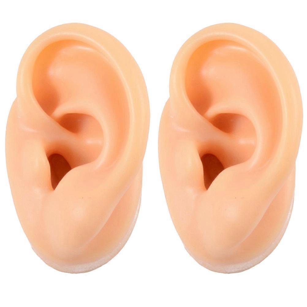 Realistic Ear Model For Teaching Tool Schools 2Pcs