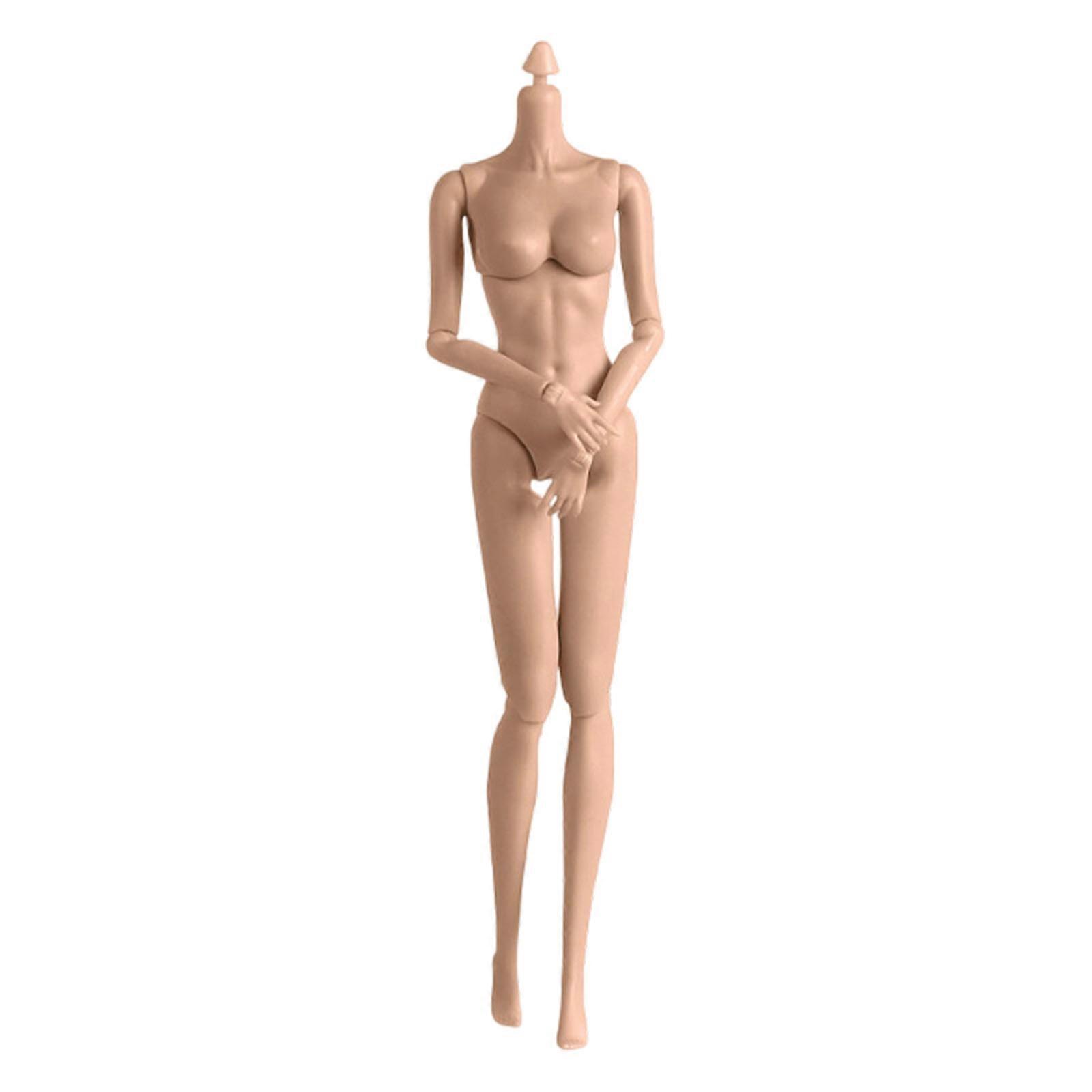 1/6 Collectible Figure Doll Body With Articulated  System And Natural Skin Tone Finish For Display Doll Customization Multicolor
