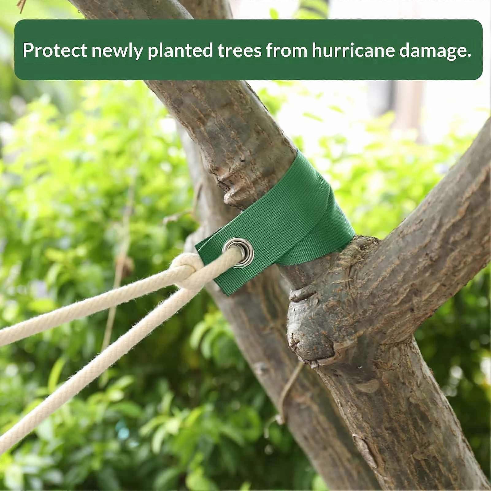 Tree Support Strap with Durable Material for Wind and Storm Protection