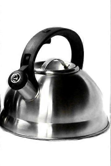 3L Whistling Induction Kettle - Silver