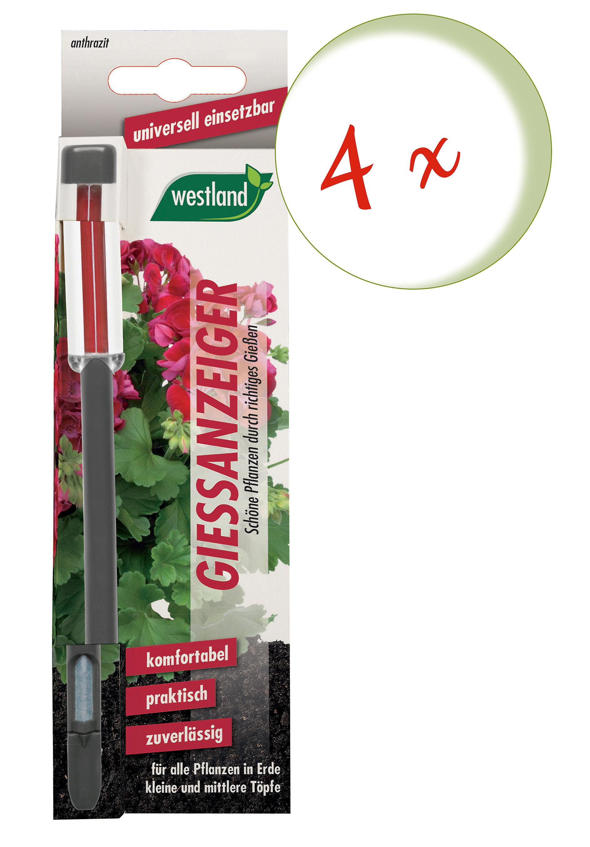 4 x WESTLAND® watering indicator for potting soil, 16 cm anthracite