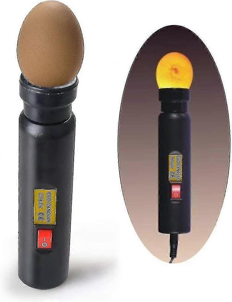 High intensity LED egg tester for monitoring chicken cutter egg incubator