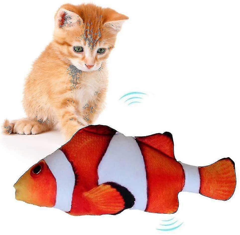Electric Fish Funny Cat