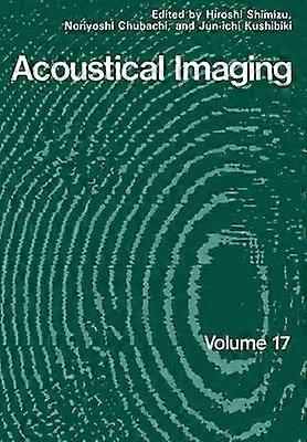 Acoustical Imaging