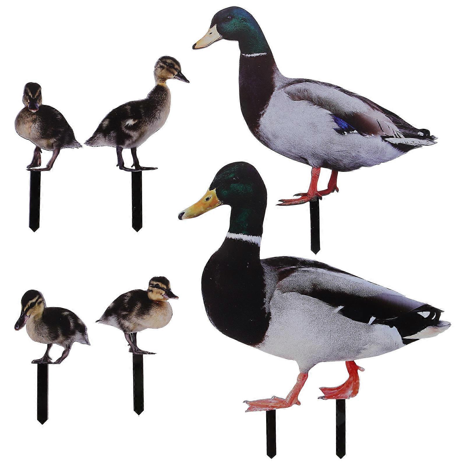Acrylic Duck Stake Decor for Garden Yard Vibrant Double Sided Pattern Assorted Color 6pcs
