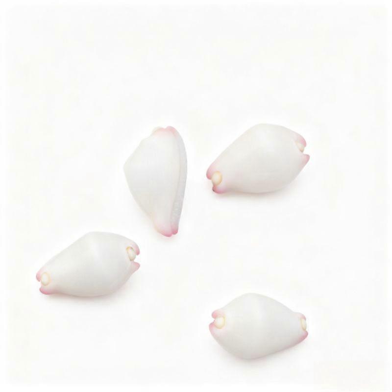Jade Rabbit Snail Seashell For Aquarium Decoration