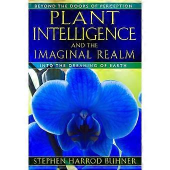 Pflanzenintelligenz und die Welt der Vorstellungskraft – Stephen Harrod Buhner