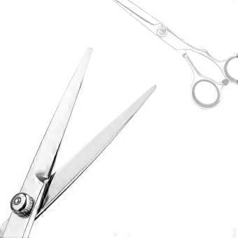 R10 New,suitable Hairdressing scissors, 6 inch stainless extra sharp hairdressing scissors, beard scissors with