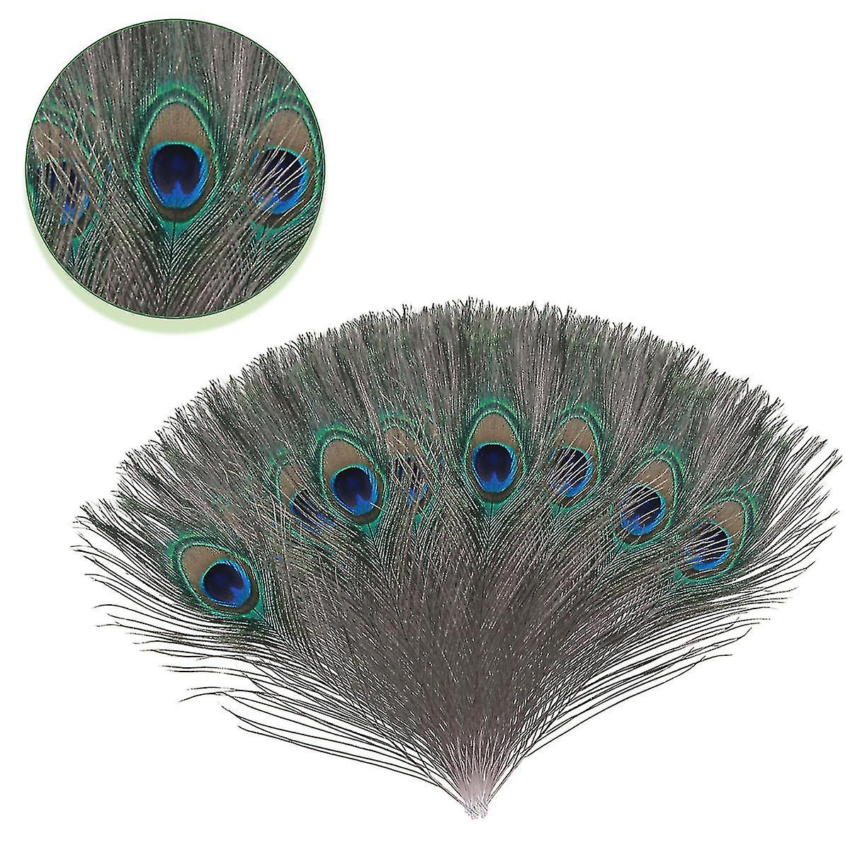 Natural Large Peacock Feathers For Decoration