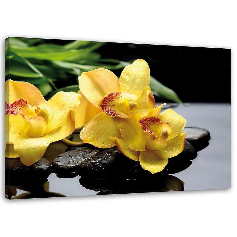 Lienzo, Narcisos y piedras zen - 60x40