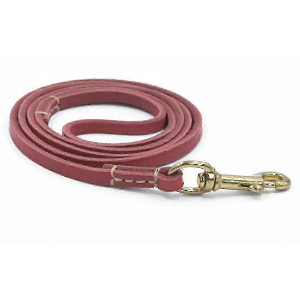 Leather Dog Leash - 6ft Training Leash, 0.8cm Width, Red