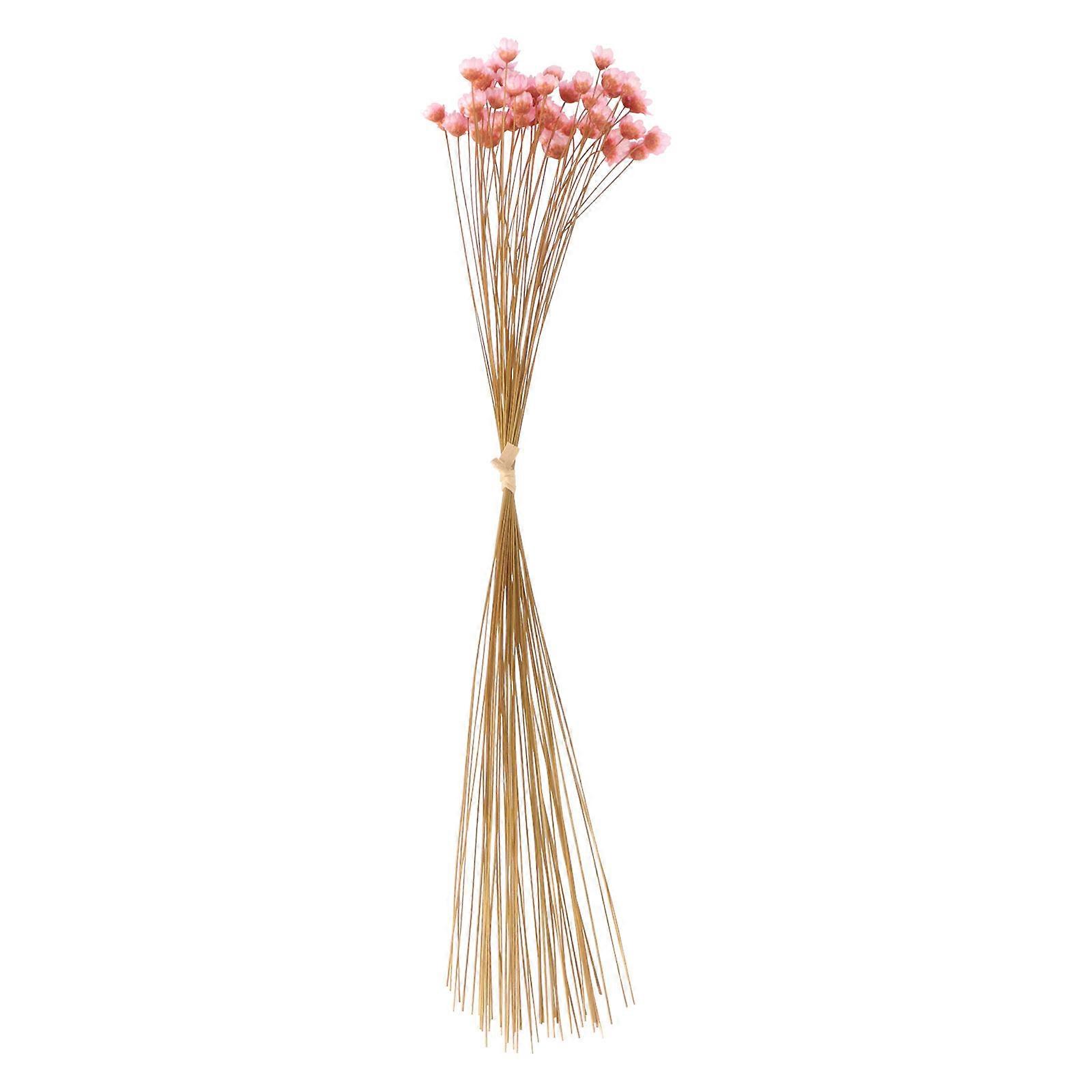 Dried Pressed Flowers Pink Home Decoration 40cm Placement 50Pack