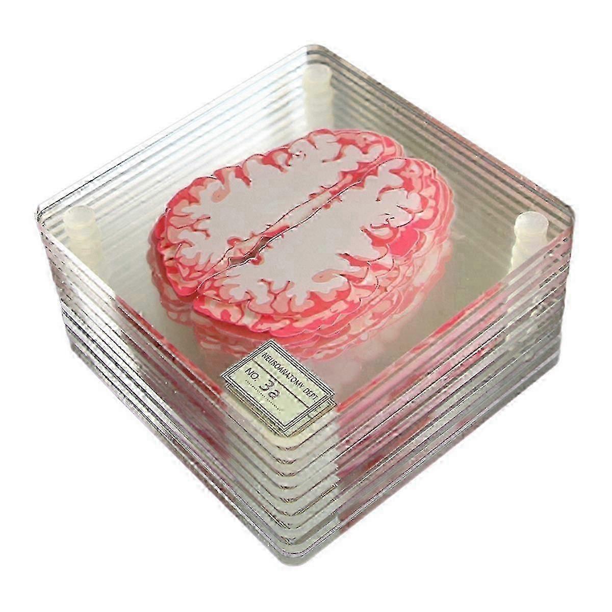 3D Organ Brain Artwork Coaster Set with Square Acrylic Design for Drinks