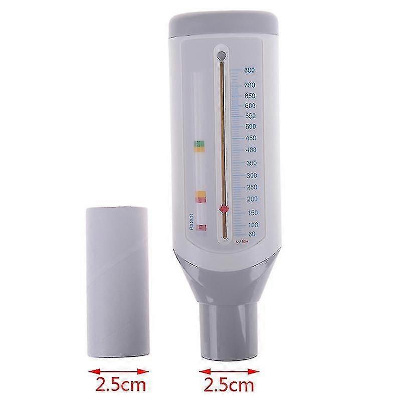 Spirometer Peak Speed Meter Expiratory Peak Flow Meter Monitoring Lung Breath