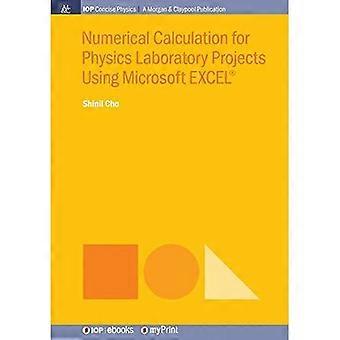 Calcul numérique pour les projets de laboratoire de physique à l’aide de Microsoft Excel (R)