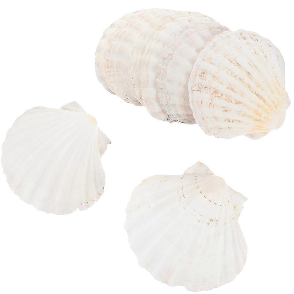 Aquarium Shell Decoration 10Pcs Irregular Seashell Tray DIY Creative Style Home Use 5X5X2CM