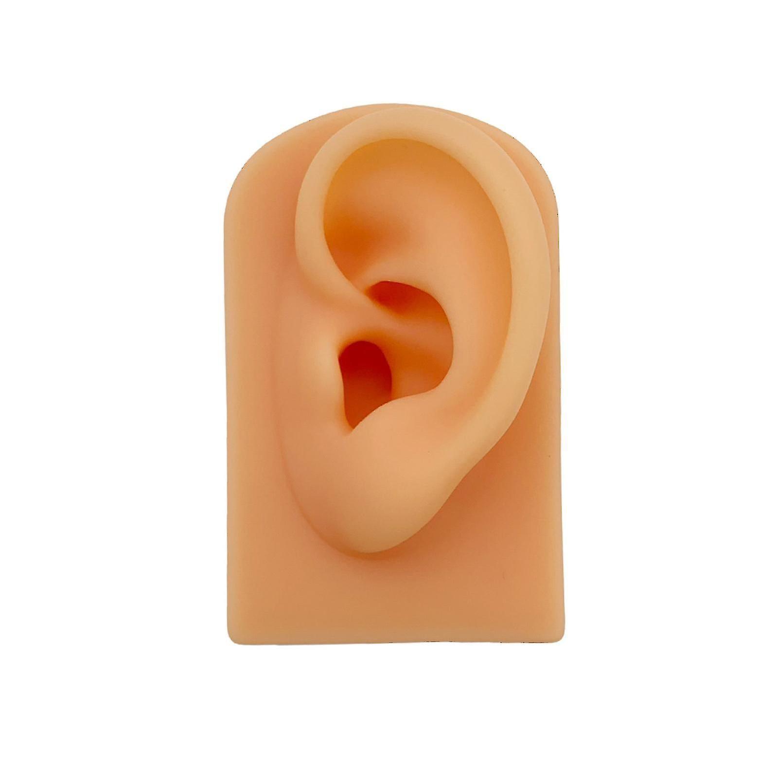 Silicone Ear Model for Piercing Practice with Reusable Display Mould