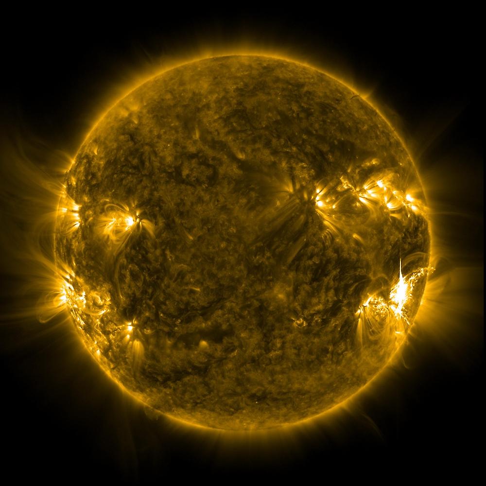 Solar activity on the Sun. Poster