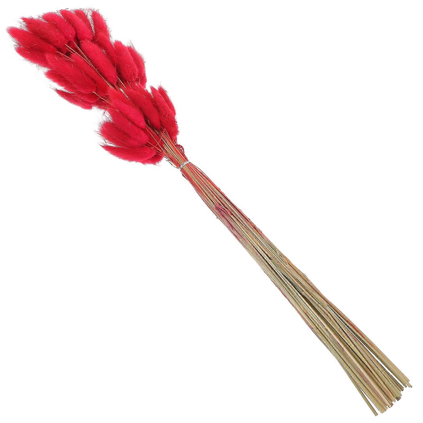 Natural Dried Rabbit Tail Grass Bunny Tails for Table Decor 60Pcs Red Color