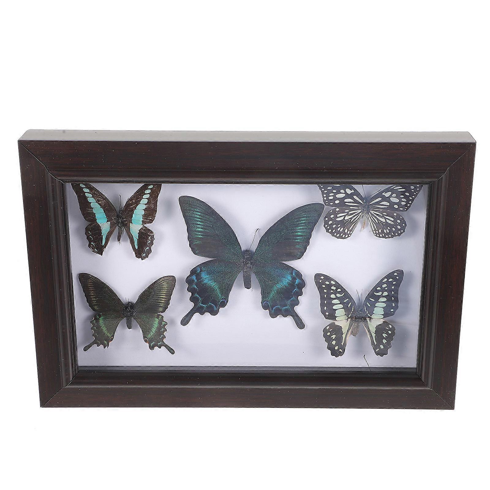 Framed Butterflies Specimen Display Frame Party Decoration Multi 30.00X20.00X3.50CM 1Pcs