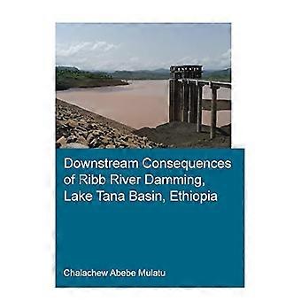 Nedstrøms konsekvenser av Ribb oppdemming Lake Tana Basin Etiopia