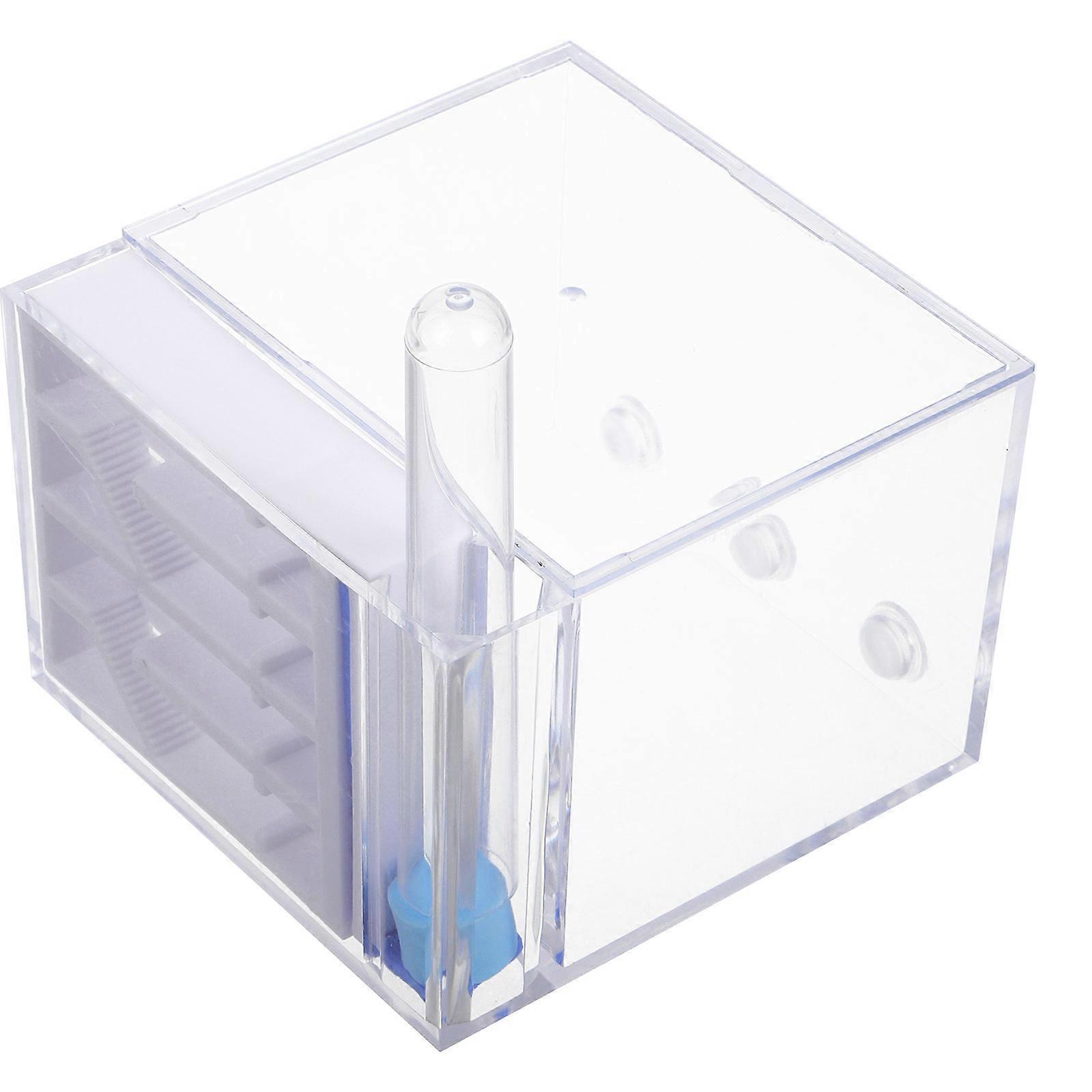 Ants Acrylic Habitat for Study 1kit Clear Ants Colony Observation
