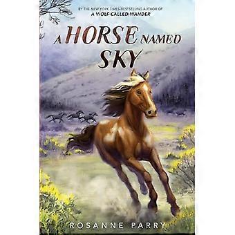 En hest ved navn Sky (Villmarkens stemme roman A)