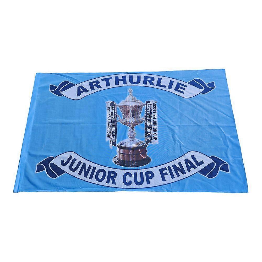 HURLIE CUP FINAL Flag ZY3698
