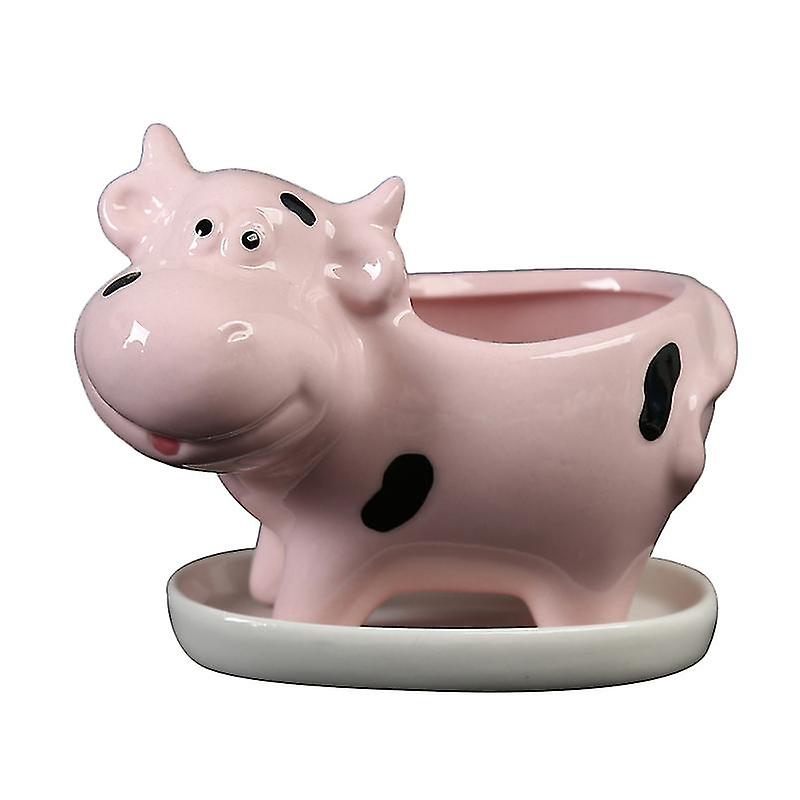 Ceramic Storage Holder For Plants Holding