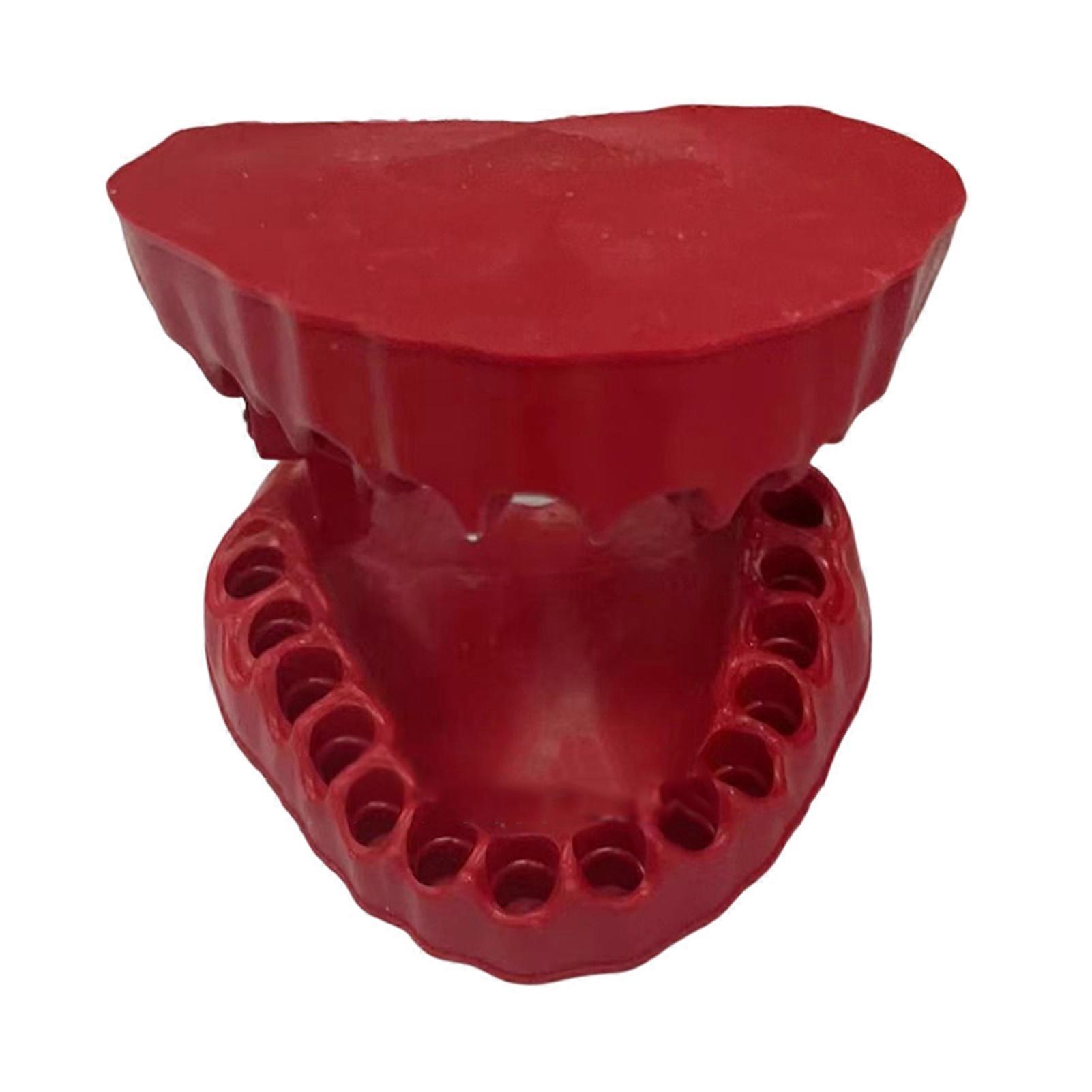 Denture Bit Holder Teeth Model Design Holds 28 Bits For Drive Drill Adapter Tool