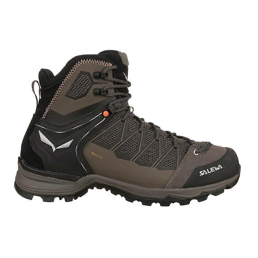 Shoes Salewa Mtn Trainer Lite Mid Gtx 613597953