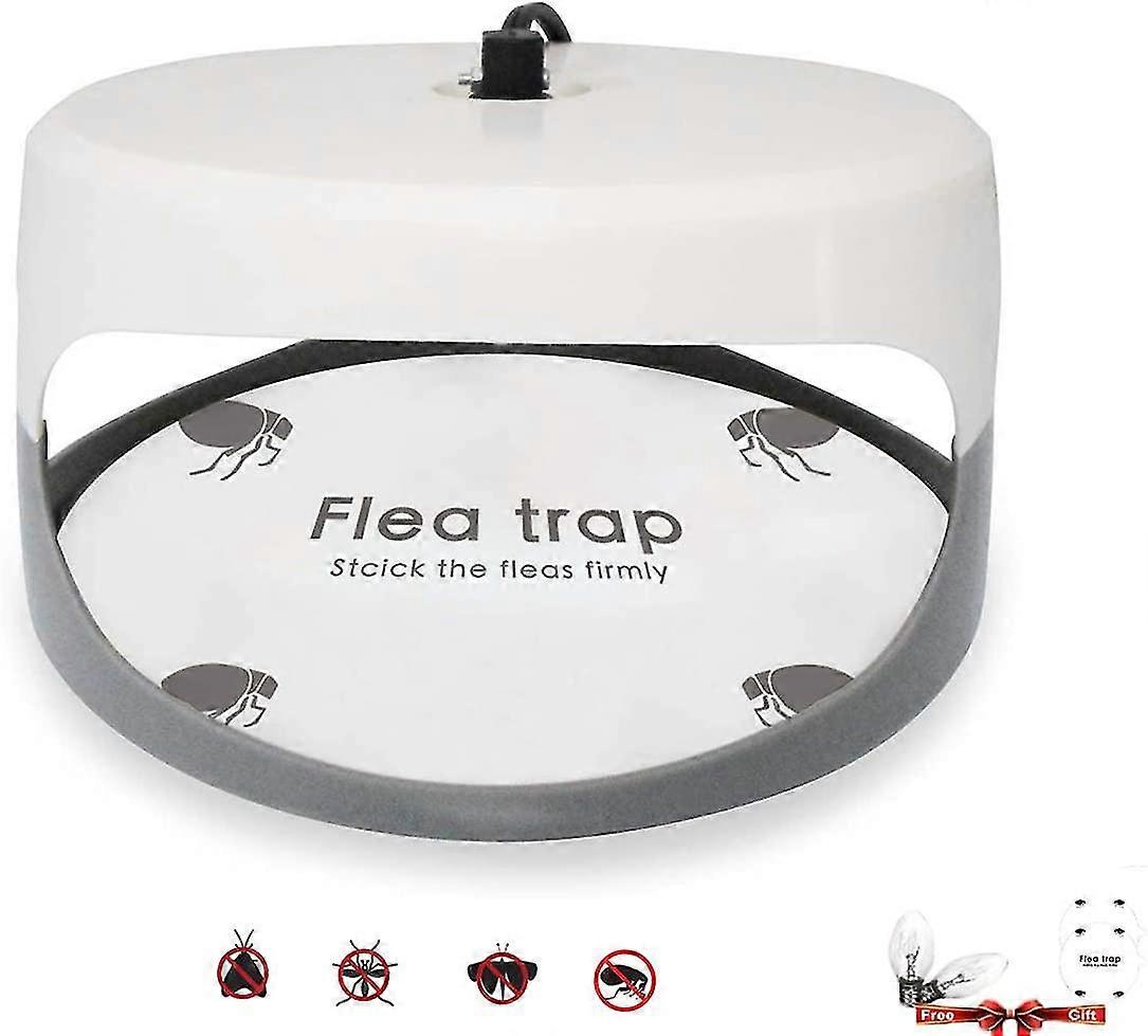 Sticky Dome Smart Trap + 2 Glue Panes; Effective Against Fleas, Mosquitoes And Other Small Insects