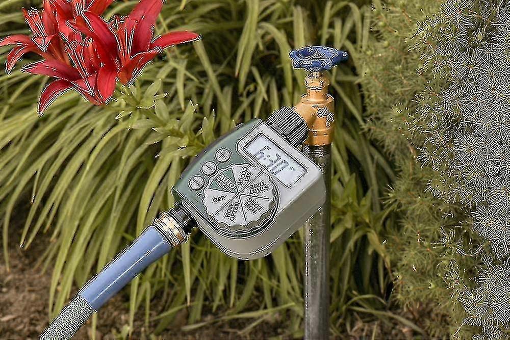 Bewässerungstimer mit Einzelauslassschlauch, 1, Grün