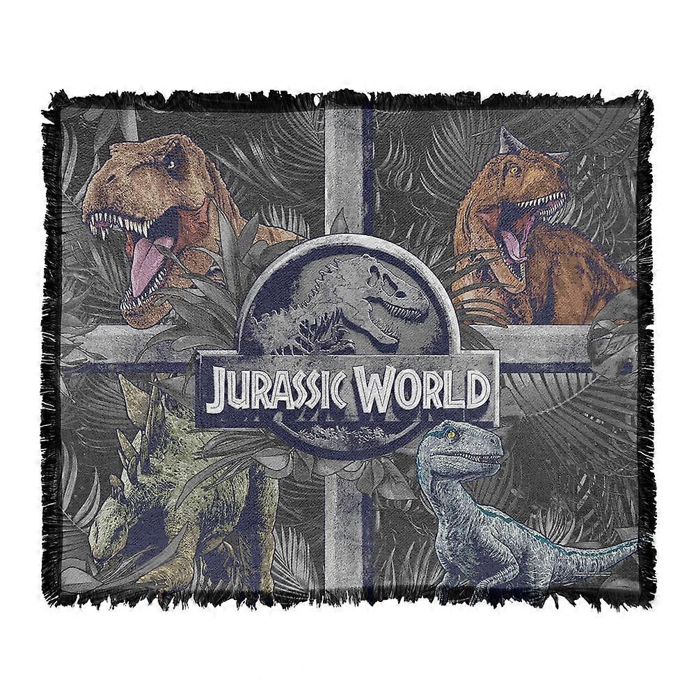 Jurassic World Blanket, Dino Tiles Woven Tapestry Fringed Throw BlanketMTWLF1019