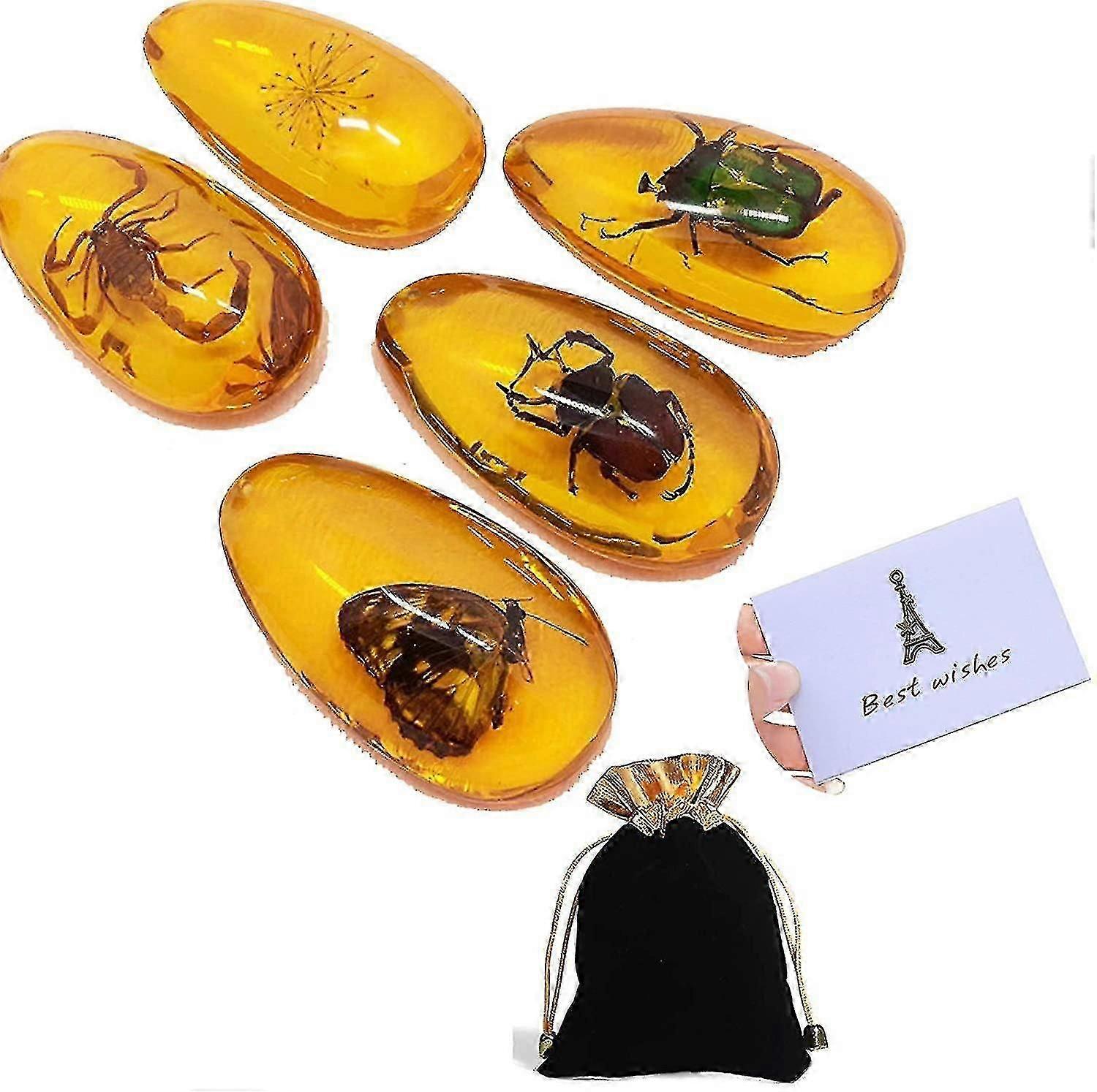 5 pcs amber απολιθωμένο έντομο με την τσάντα δώρων και το δείγμα του βαθμού δώρων Το φυσικό έντομο κεχρτιού (5 διαφορετικό τυχαίο)