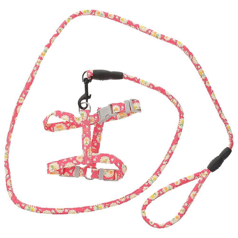 Adjustable Cat Harness and Leash for Outdoor Use – Comfortable Fit for Cats and Dogs, Long Leash for Walking and Training Freedom and Control