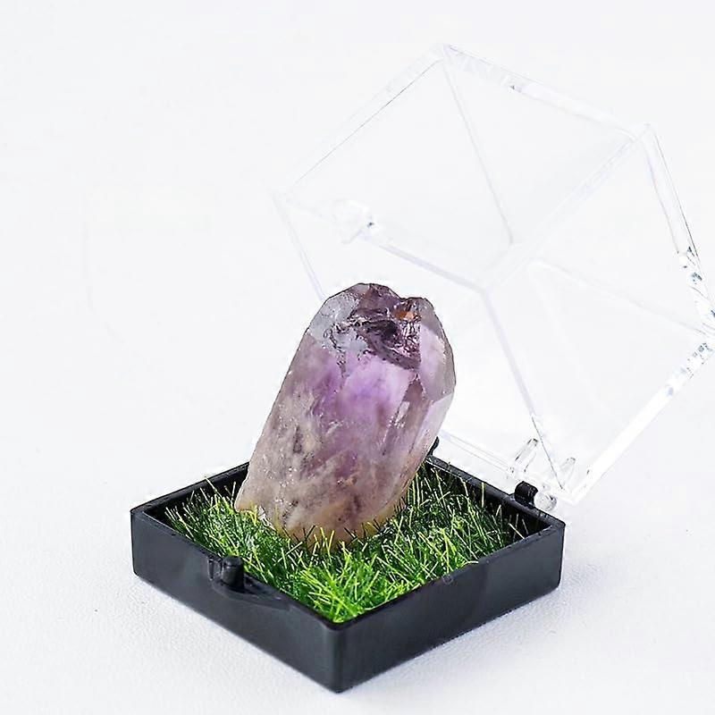 Natural Purple Tooth Flower Raw Stone Mining Label Box Ornament Set, Crystals for Kids Education, Science Teaching Gift
