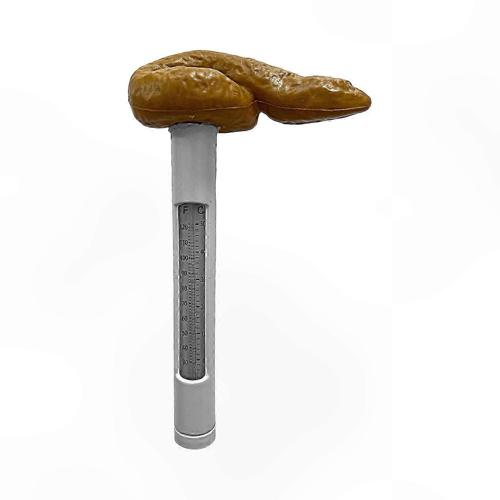 High-Precision ABS Pool Thermometer Accessory for Hot Tubs and Spas