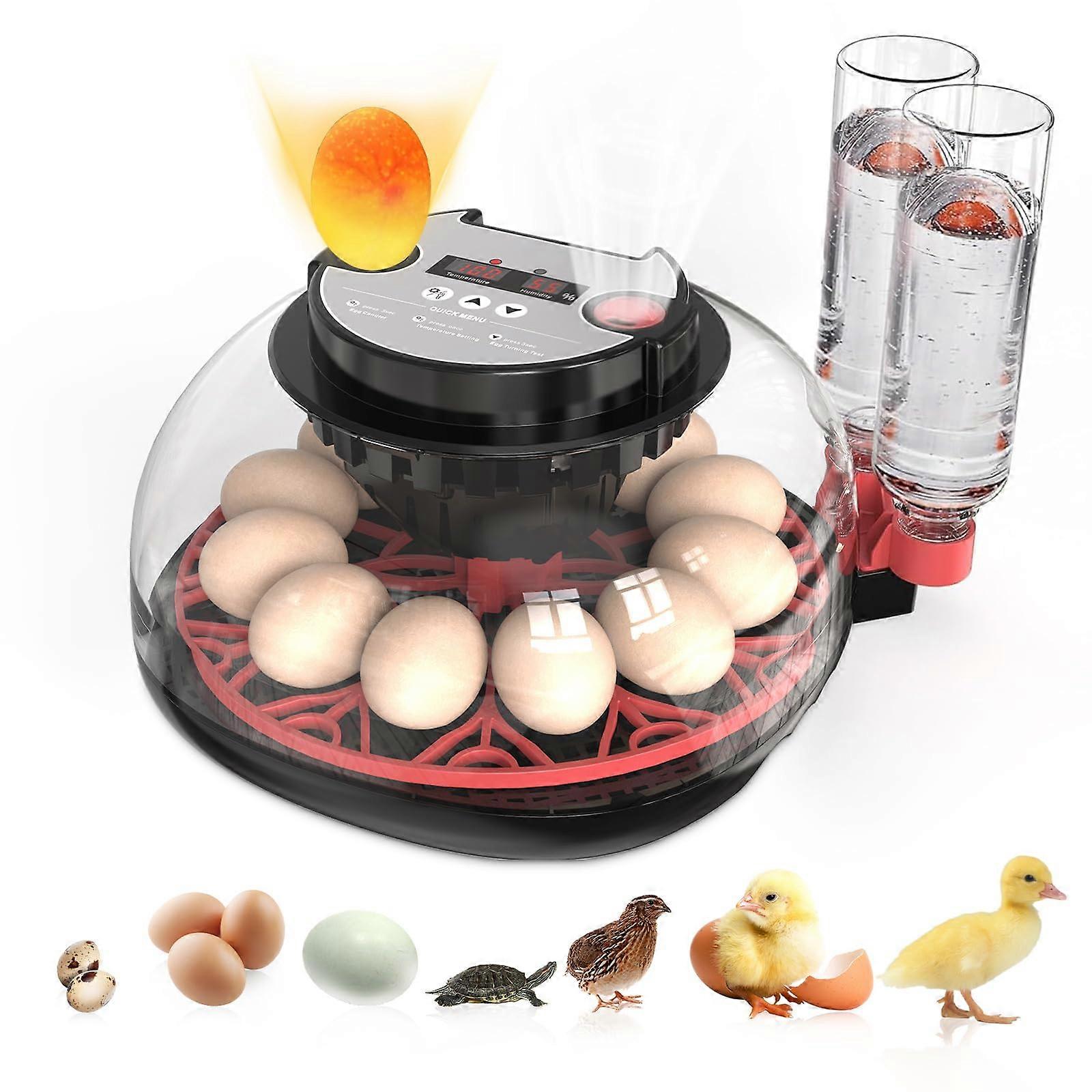 Incubators for Hatching Eggs Automatic Egg Incubator Temp Control Humidity Display 12 Egg Capacity Auto Turner 360 View